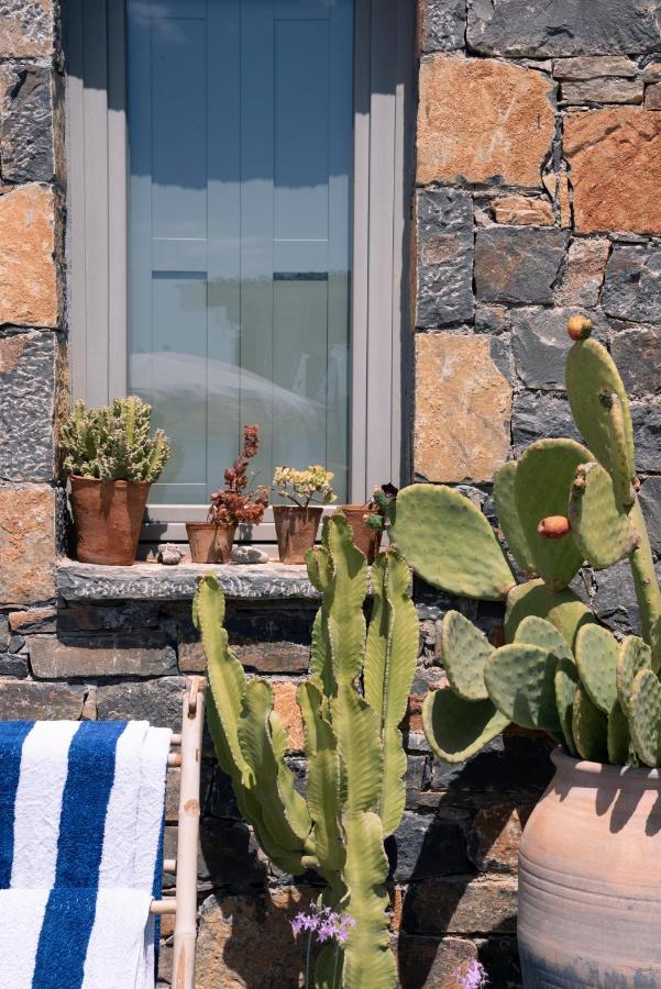 Villa Aiolos: Above The Sea, Within Agios Nikolaos Exteriör bild